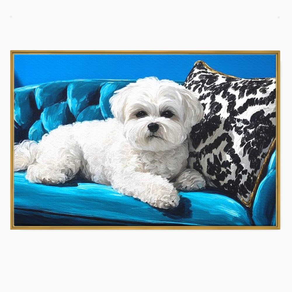 Tablou canvas cu pictura cu bichon alb pe canapea, in rama de aluminiu auriu